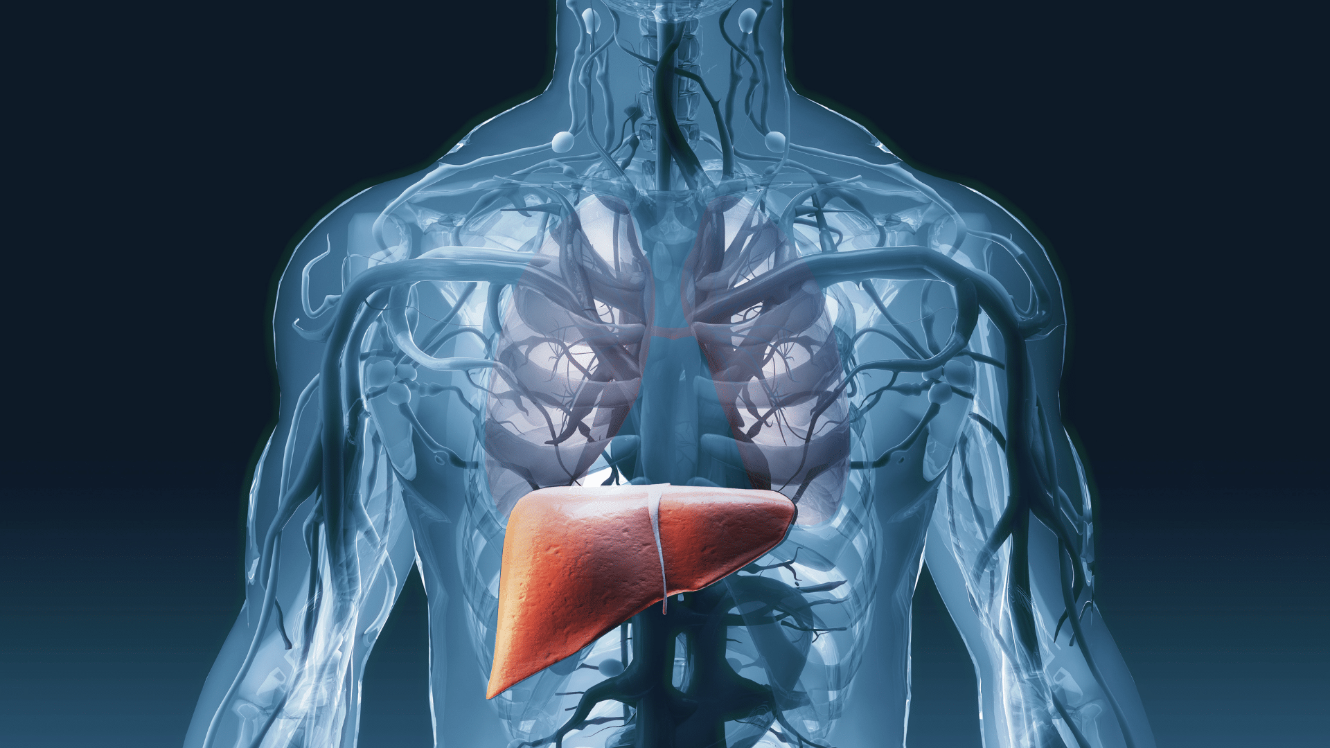 Cirrhosis of the Liver Services
