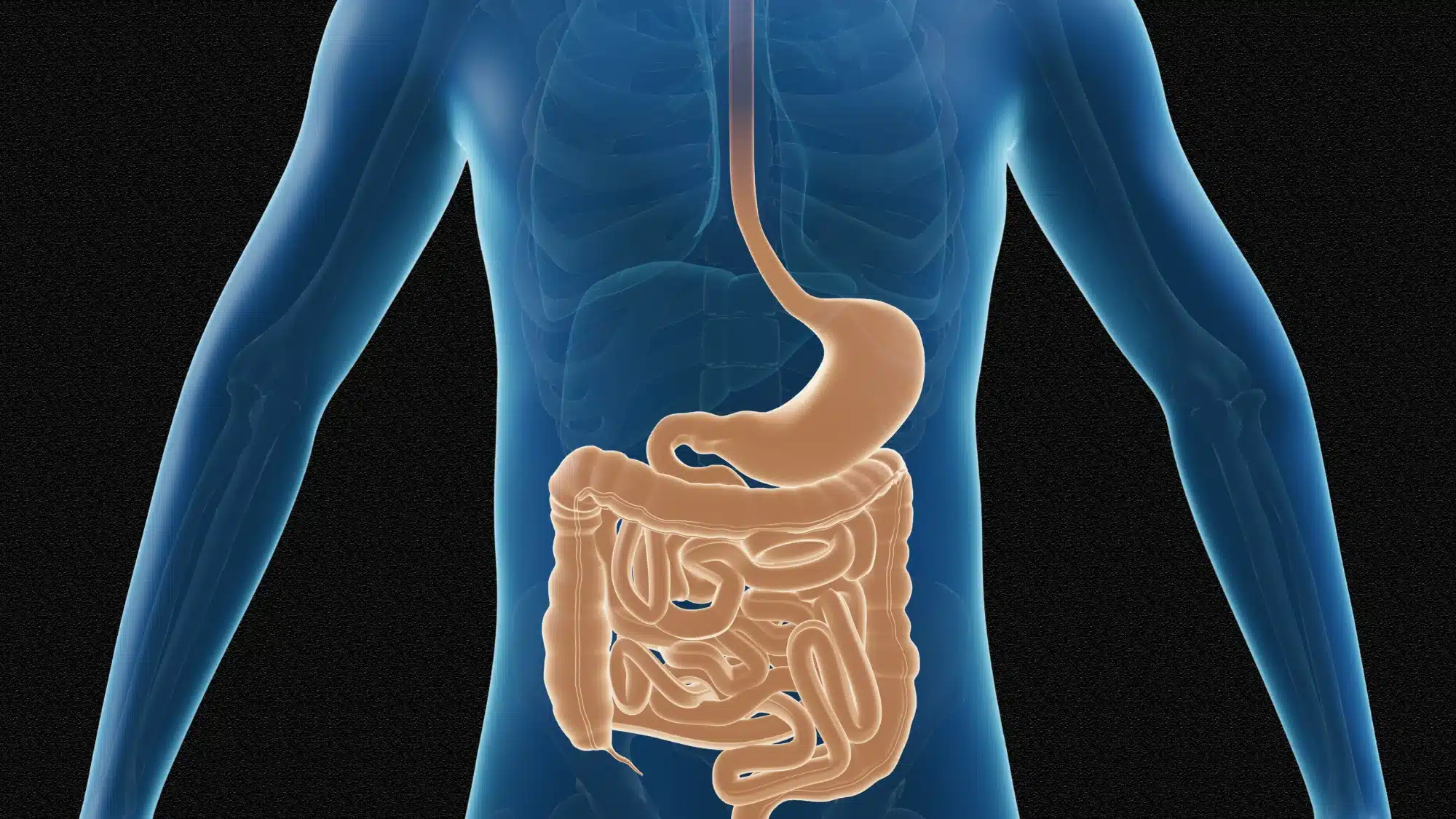 Flu Season _ Your Gut_ Ways to Support Digestive Health While Staying Strong All Fall