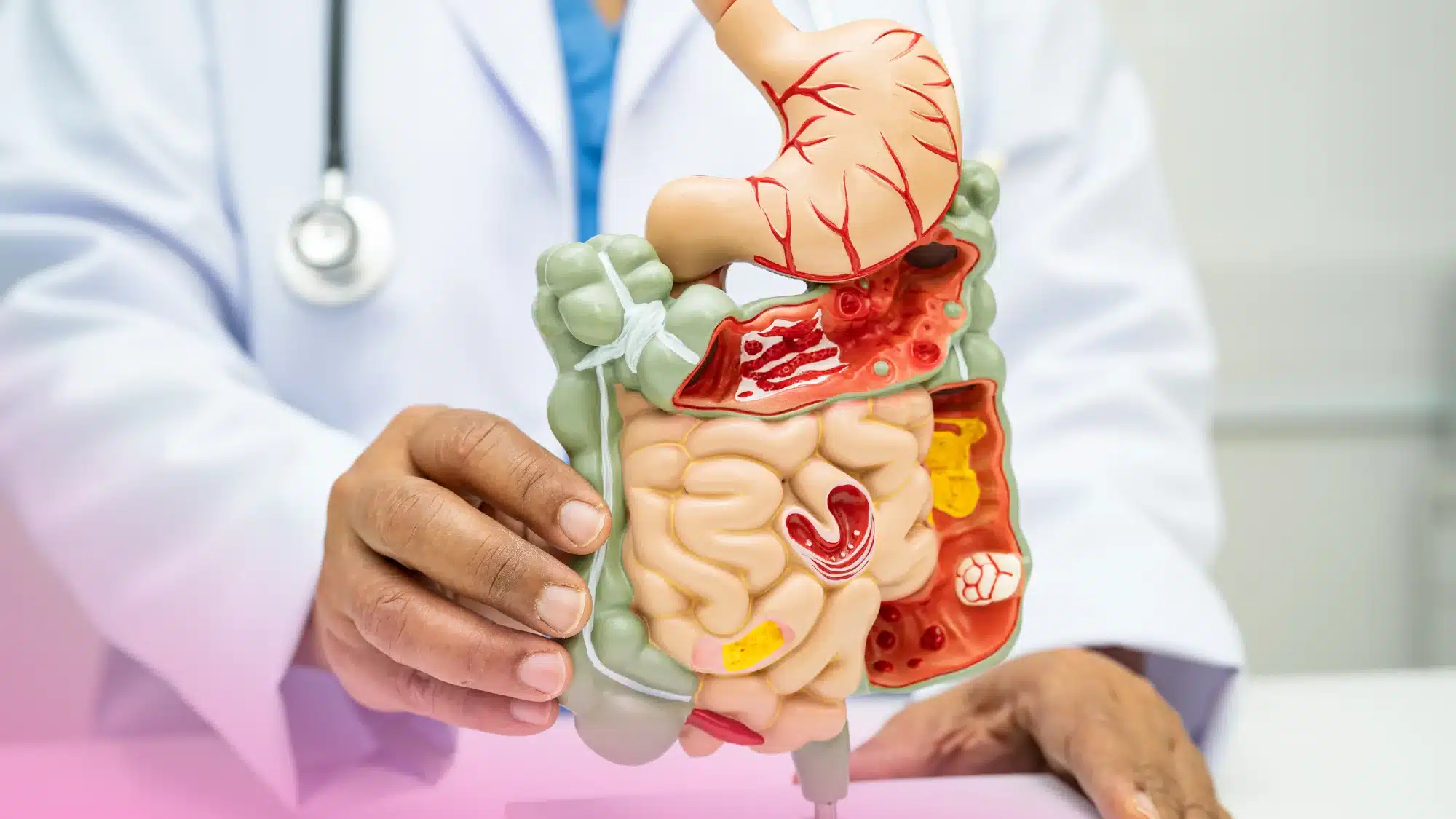 Gut Health _ Daylight Loss_ How Shorter Days Can Influence Digestive Balance